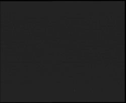 Nástup na běžecké tratě