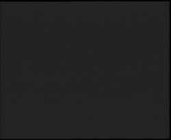 Nástup na běžecké tratě