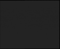 Nástup na běžecké tratě