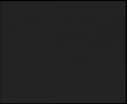 Nástup na běžecké tratě