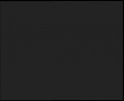 Nástup na běžecké tratě