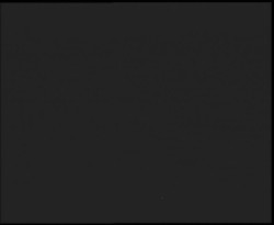 Nástup na běžecké tratě