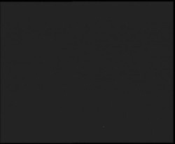 Nástup na běžecké tratě