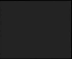 Nástup na běžecké tratě