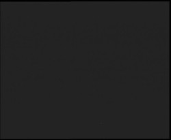 Nástup na běžecké tratě