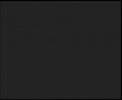 Nástup na běžecké tratě