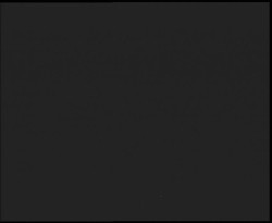 Nástup na běžecké tratě