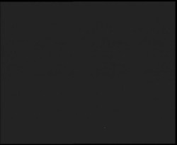 Nástup na běžecké tratě