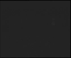 Nástup na běžecké tratě