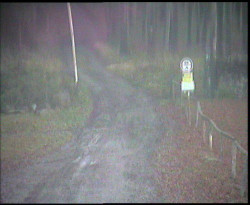 Nástup na běžecké tratě