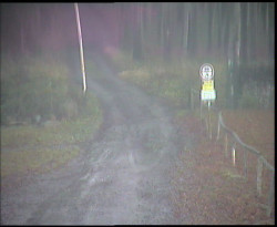 Nástup na běžecké tratě