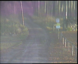 Nástup na běžecké tratě