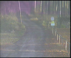 Nástup na běžecké tratě