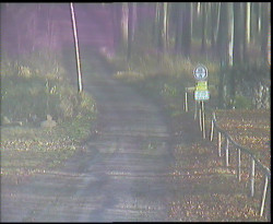 Nástup na běžecké tratě