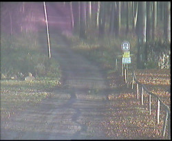 Nástup na běžecké tratě