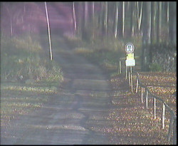 Nástup na běžecké tratě