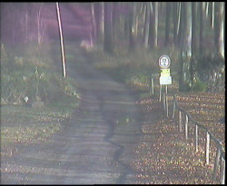 Nástup na běžecké tratě