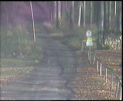 Nástup na běžecké tratě