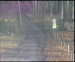 Nástup na běžecké tratě