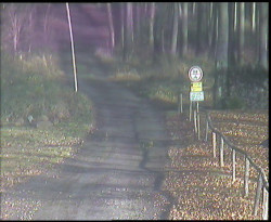 Nástup na běžecké tratě