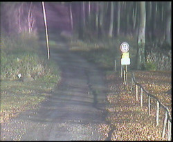 Nástup na běžecké tratě