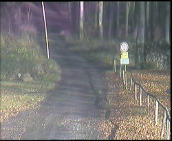 Nástup na běžecké tratě