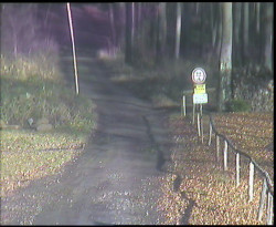 Nástup na běžecké tratě