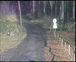 Nástup na běžecké tratě