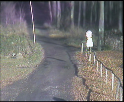 Nástup na běžecké tratě