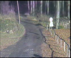 Nástup na běžecké tratě