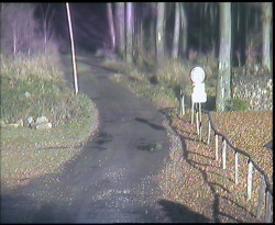 Nástup na běžecké tratě