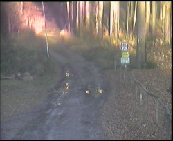 Nástup na běžecké tratě