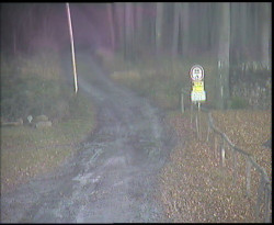 Nástup na běžecké tratě