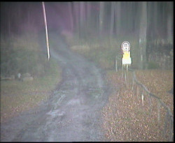 Nástup na běžecké tratě