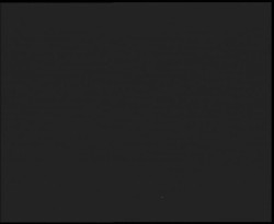 Nástup na běžecké tratě