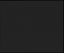 Nástup na běžecké tratě