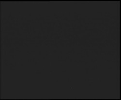 Nástup na běžecké tratě