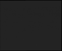 Nástup na běžecké tratě