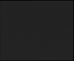 Nástup na běžecké tratě