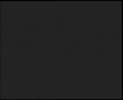 Nástup na běžecké tratě