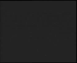 Nástup na běžecké tratě