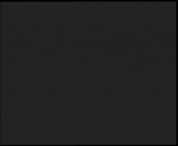 Nástup na běžecké tratě