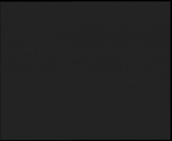 Nástup na běžecké tratě