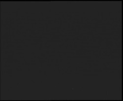 Nástup na běžecké tratě