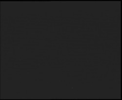 Nástup na běžecké tratě