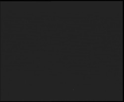 Nástup na běžecké tratě