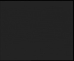 Nástup na běžecké tratě