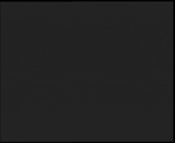 Nástup na běžecké tratě