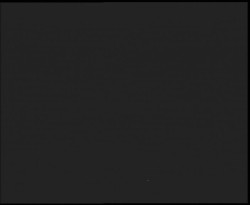 Nástup na běžecké tratě