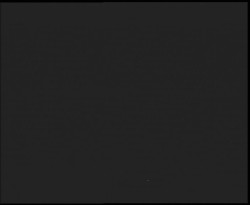 Nástup na běžecké tratě